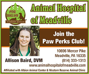 Animal Hospital of Meadville